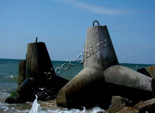 Тетрапод Т-25