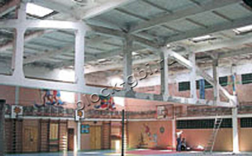 Ферма 1ФБМ24