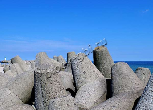 Тетрапод Т-13