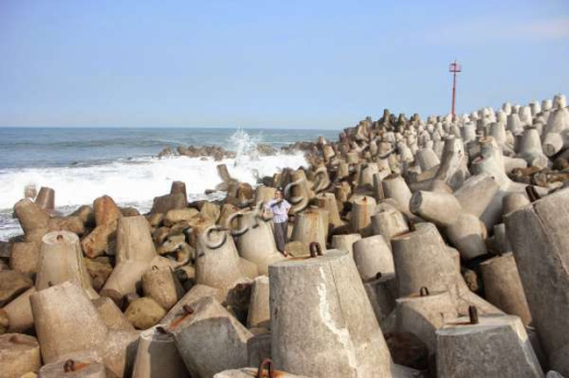 Тетрапод Т-25