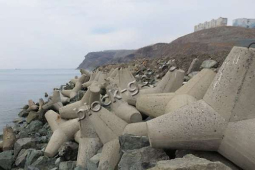 Тетрапод Т-1,5